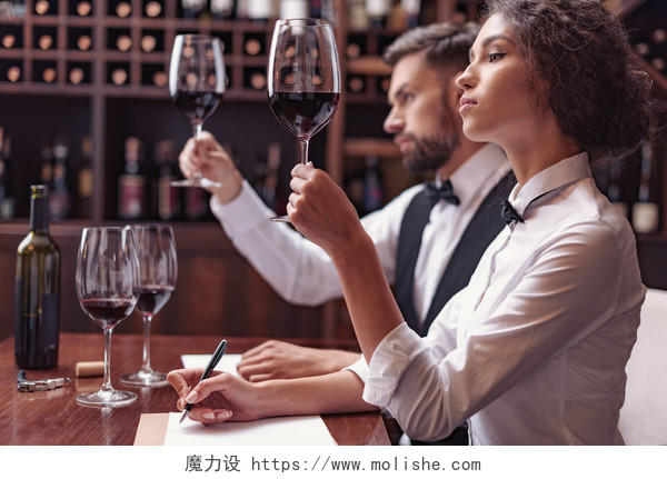 男性和女性品尝红酒和做笔记在品尝卡